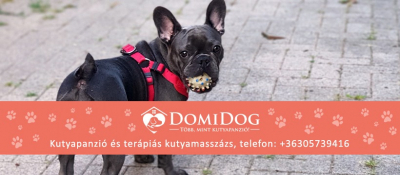 Domidog kutyapanzió Miskolc, Onga