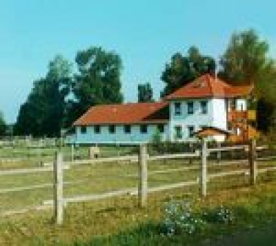 Mátyás Lovastanya Somlószőlős