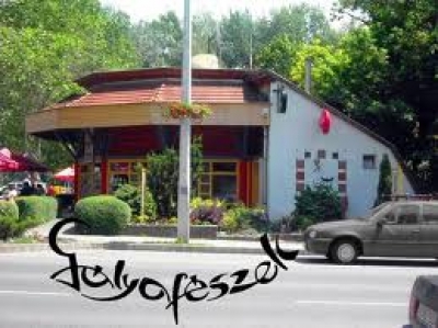 Gólyafészek Gyorskiszolgáló Étterem- Fóka Fagyizó Tokaj